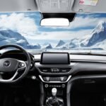 Pickup FOTON TUNLAND